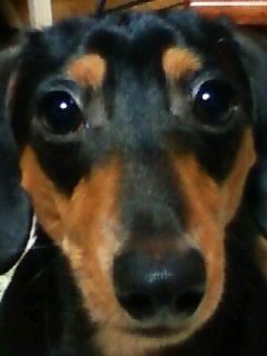 久々のア～～ップ！