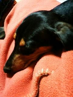 地震だよ！！！！