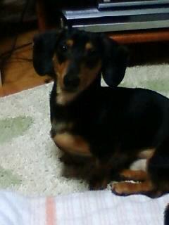 胸はってます！