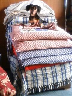 凄く跳びました！