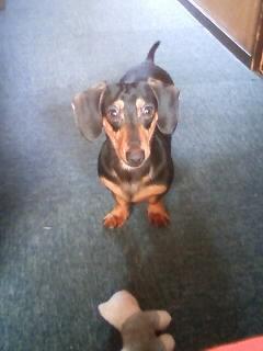 昨日と今日は大違い