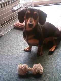 久し振りの更新