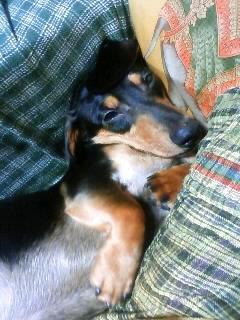 えぇぇ～ (￣□￣;)!!