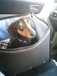 とっても・とってもご無沙汰です