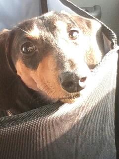 忙しい理由は…