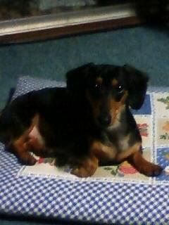 最近のラオウは…勘違い?