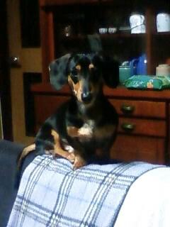 ラオウだけどラオウじゃない!!