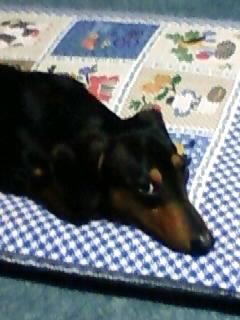 いじけモ―ド全開です(-д-;)