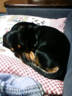 6月なのに寒いですね~