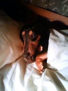 眩しいんだって！