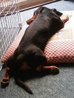 久々の充実感！