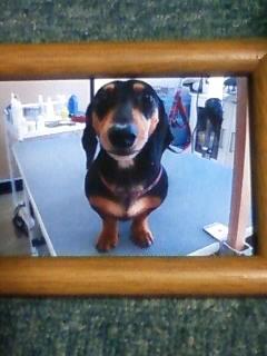 写真頂きました