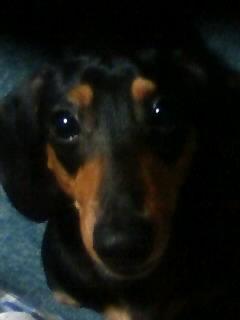 久し振りのアップですが…