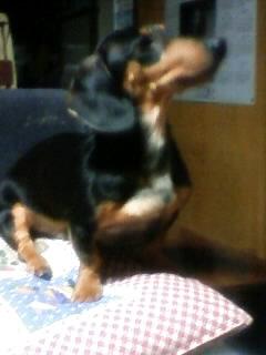 成長してるな～