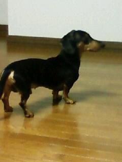 無事到着～(´Ａ｀)