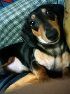 離れません！！