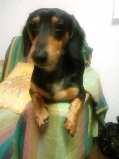 新たな定位置決定