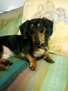 今日は近所が騒がしいぞ！