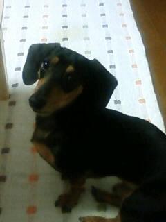 只今反省中…かな？