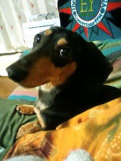 報告～許してあげました(^_^)v