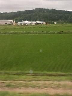 札幌。そして北見。疲れたな~(´A`)