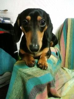 いじけてますρ(..、) ヾ(^-^;)