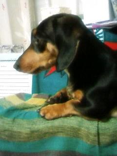 おっ☆凛々しいぞ!