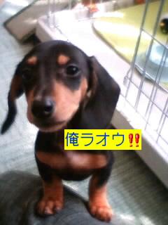 懐かしい~大きくなったけど…