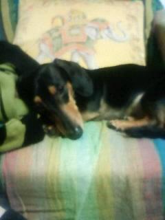 又怒られちゃった(´A`)