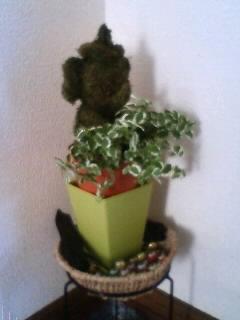 NEWぞうさん発見!