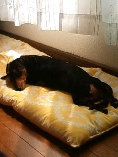 久し振りのお風呂でした