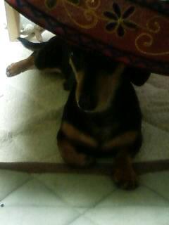 やっと夏らしく暑くなりましたね