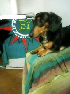 矢沢バックで☆(分かるかな～？)