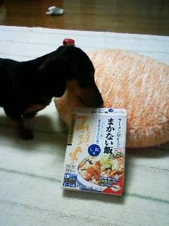 こんなの見つけちゃった(^O^)