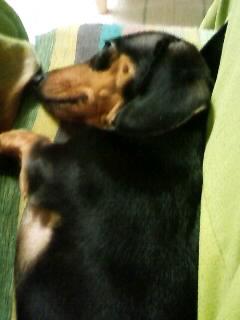 ラオウどうした~ッ!