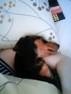 今日も出張(ΘoΘ;)