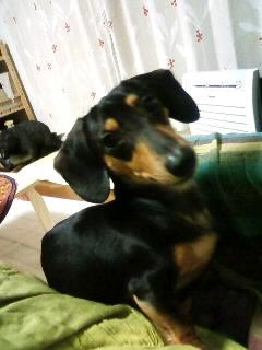 何故だ?ラオウは謎だらけ