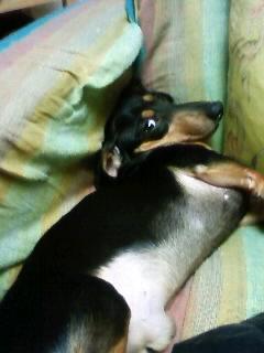 ほっといてよ～(-.-;)