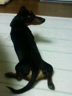 ラオウのボヤキ