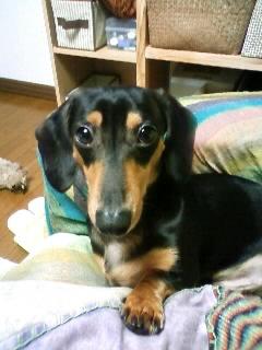 またしても雨(´Ａ｀)