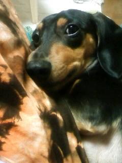 寒い夜のうたた寝は…