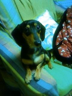 ご主人様？なんか怖いんですけど！