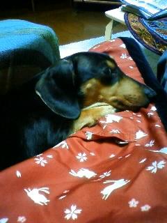 狭いんですけど…