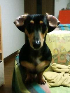 ひっくり返ってますけど～(^O^)