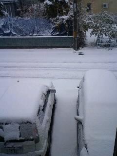 とうとう来た～w(☆o◎)w