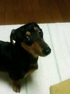 ラオウの謎(?_?)