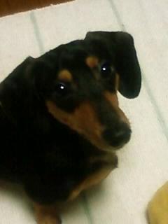 必殺！上目遣い攻撃～