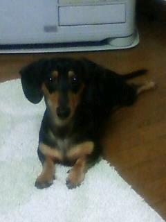 暖かいはずなのに