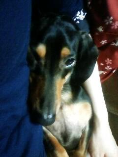 つまんないな～