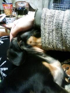 何故こんな所に？